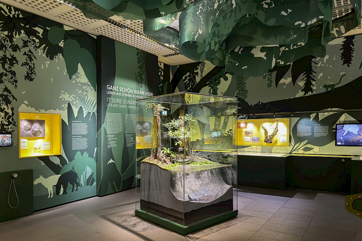 Ganz schön warm hier! Leben und Sterben in Messel